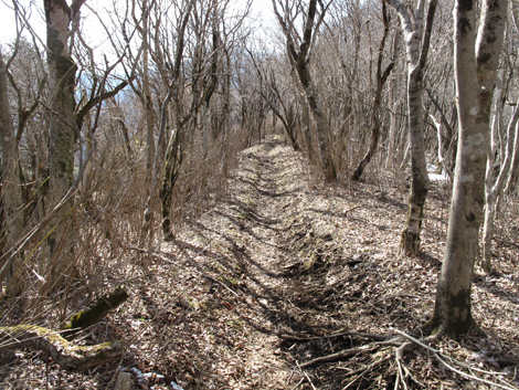 20160218hike (500)